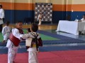 Campeonato-Caririense-de-karate-12