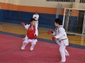 Campeonato-Caririense-de-karate-14