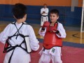 Campeonato-Caririense-de-karate-15