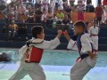 Campeonato-Caririense-de-karate-16