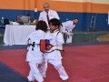Campeonato-Caririense-de-karate-21