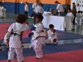 Campeonato-Caririense-de-karate-24
