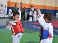 Campeonato-Caririense-de-karate-30