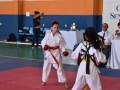 Campeonato-Caririense-de-karate-35