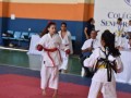 Campeonato-Caririense-de-karate-36