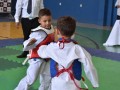 Campeonato-Caririense-de-karate-38