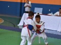 Campeonato-Caririense-de-karate-39