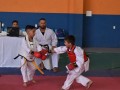 Campeonato-Caririense-de-karate-47
