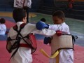 Campeonato-Caririense-de-karate-53