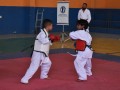Campeonato-Caririense-de-karate-54