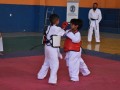 Campeonato-Caririense-de-karate-55