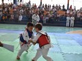 Campeonato-Caririense-de-karate-9
