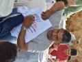 SemanaDospaiscnsf2023-108